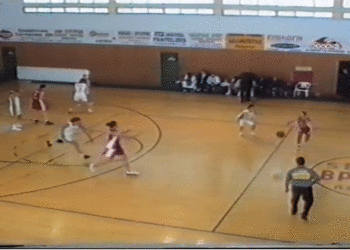 Για να θυμούνται οι παλιοί και να μαθαίνουν οι νέοι: Α1 Μπάσκετ Γυναικών: Απόλλων- ΠΑΟ 78-72 16/12/2001