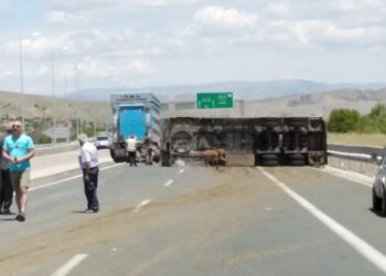 Ώρα 14:30: Χάος στην Εγνατία Οδό, στον κόμβο της Καλαμιάς Κοζάνης, μετά το τροχαίο με τα ζώα – Αγελάδα κυκλοφορεί ελεύθερη-Η Τροχαία έκλεισε το ρεύμα κυκλοφορίας προς Κοζάνη