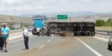 Ώρα 14:30: Χάος στην Εγνατία Οδό, στον κόμβο της Καλαμιάς Κοζάνης, μετά το τροχαίο με τα ζώα – Αγελάδα κυκλοφορεί ελεύθερη-Η Τροχαία έκλεισε το ρεύμα κυκλοφορίας προς Κοζάνη