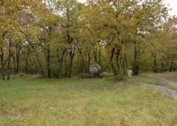 Κοζάνη: Μπήκαν με τροχόσπιτο και κατασκήνωσαν παράνομα στο “Κουρί” – Απομακρύνθηκαν από τη Δημοτική Αστυνομία