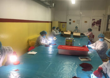 Επιμορφωτικά σεμινάρια μέσω ΟΑΕΔ για τους καλλιεργητές του κρόκου Κοζάνης