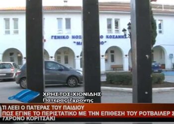 Κοζάνη: Ο πατέρας του 7χρονου κοριτσιού που δέχθηκε την επίθεση από το ροτβάιλερ περιγράφει στο Top Channel το περιστατικό – “Άρπαξε το παιδί από το στήθος και το έριξε κάτω – Ακόμη περιμένω μια συγγνώμη από τον ιδιοκτήτη”-Βίντεο
