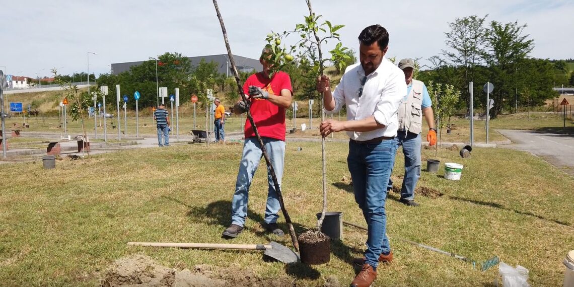 Γρεβενά: Δημιουργία Δημοτικού Οπωρώνα και Μήνυμα Δημάρχου Γρεβενών κ.Γιώργου Δασταμάνη για Αιολικά στη Βασιλίτσα