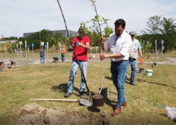 Γρεβενά: Δημιουργία Δημοτικού Οπωρώνα  και Μήνυμα Δημάρχου Γρεβενών κ.Γιώργου Δασταμάνη για Αιολικά στη Βασιλίτσα