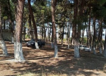 Πρόσκληση ενδιαφέροντος για την αξιοποίηση Δημοτικού χώρου από τον Δήμο Αμυνταίου