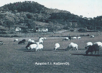 Ένα υπέροχο περιβάλλον με το περιεχόμενό του – Από τη στήλη του κ. Γ. Καζαντζή στον Παλμό 08/07/2020