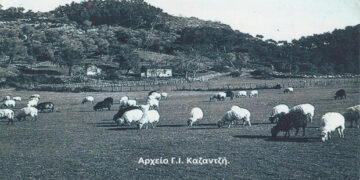 Ένα υπέροχο περιβάλλον με το περιεχόμενό του – Από τη στήλη του κ. Γ. Καζαντζή στον Παλμό 08/07/2020