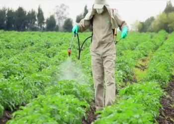 Ανανέωση των Πιστοποιητικών Γνώσεων Ορθολογικής Χρήσης Γεωργικών Φαρμάκων