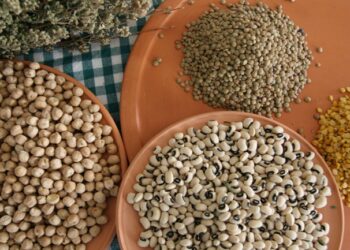 Μεγάλη καταστροφή σε φακές και ρεβίθια στην Καστοριά, αποζημιώσεις ζητούν οι παραγωγοί