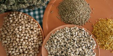 Μεγάλη καταστροφή σε φακές και ρεβίθια στην Καστοριά, αποζημιώσεις ζητούν οι παραγωγοί