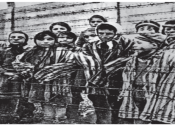 Ολοκαύτωμα:  Μια ιστορία που ξεχάστηκε;- Από την εφημερίδα του 5ου Γυμνασίου