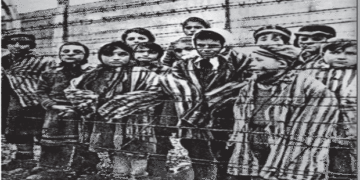 Ολοκαύτωμα:  Μια ιστορία που ξεχάστηκε;- Από την εφημερίδα του 5ου Γυμνασίου