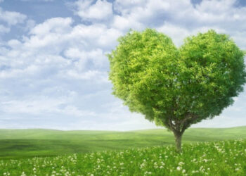 «Viagra» της φύσης φυτεύει ο δήμος στο κέντρο της Λάρισας!