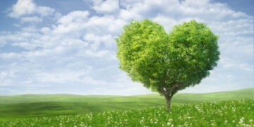 «Viagra» της φύσης φυτεύει ο δήμος στο κέντρο της Λάρισας!