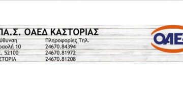 ΕΠΑ.Σ Καστοριάς ΟΑΕΔ: Ειδικότητες σχολικού έτους  2020-2021