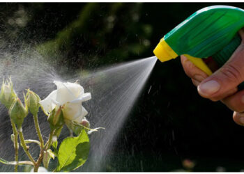 Περιφέρεια Δ. Μακεδονίας: Ανανέωση των Πιστοποιητικών Γνώσεων Ορθολογικής Χρήσης Γεωργικών Φαρμάκων