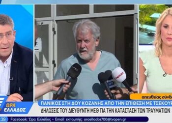 Επίθεση με τσεκούρι: Σοκάρει ο διευθυντής της ΜΕΘ στο Παπανικολάου: “Πρώτη φορά βλέπω να γίνεται αυτό από άνθρωπο σε άνθρωπο”
