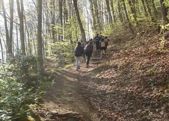 Ορειβατική Λέσχη Εορδαίας: Εξόρμηση στο Μουρίκι