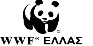 Όροι και προϋποθέσεις για μία πραγματικά δίκαιη μετάβαση – Tου Δημήτρη Τσέκερη, υπεύθυνος ενεργειακής πολιτικής, WWF Ελλάς