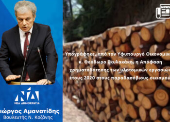 Γιώργος Αμανατίδης: «Υπογράφηκε, από τον Υφυπουργό Οικονομικών κ. Θεόδωρο Σκυλακάκη, η Απόφαση χρηματοδότησης των υλοτομικών εργασιών έτους 2020 στους παραδασόβιους οικισμούς» Δελτίο Τύπου