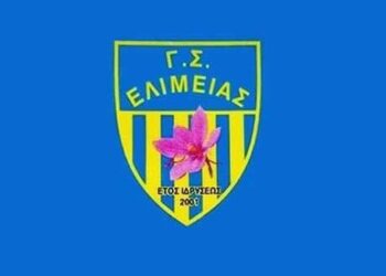 Συγκροτήθηκε σε σώμα το νέο Δ.Σ. στον Γ.Σ. Ελίμειας- Νέος πρόεδρος ο Ζήνων Ματιάκης