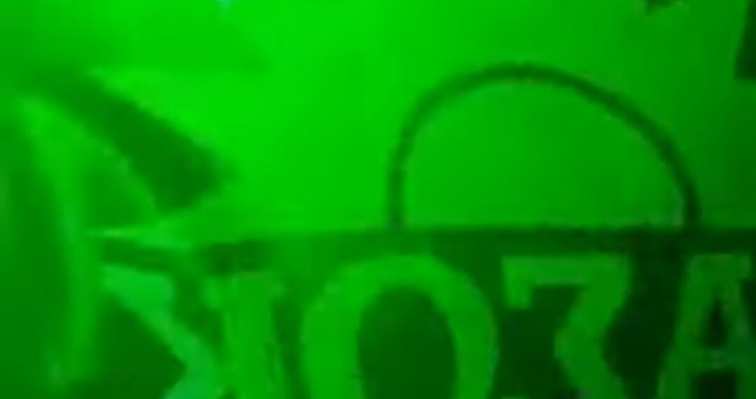 “Θα τον μεθύσουμε τον ήλιο” σε ολόκληρη τη χώρα – Και σε μαγαζί της Κοζάνης με σημαία του ΠΑΣΟΚ και πράσινο φόντο-Βίντεο