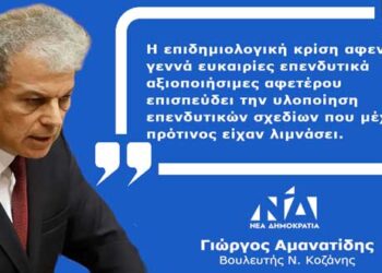 Γ. Αμανατίδης: «Επενδύσεις και πανδημία: μία σχέση συγκρουσιακή και ασύμπτωτη;»