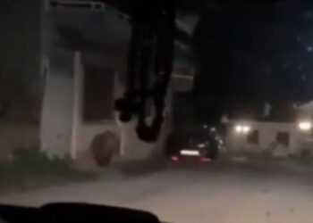 Καστοριά: Αρκούδα μέσα σε χωριό – Προσπαθούσαν να τη διώξουν με κόρνες (Βιντεο)
