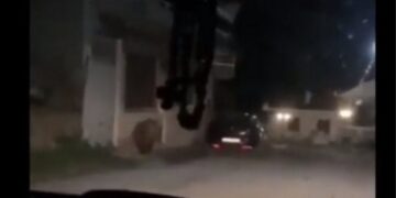 Καστοριά: Αρκούδα μέσα σε χωριό – Προσπαθούσαν να τη διώξουν με κόρνες (Βιντεο)