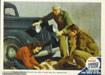 Με την ταινία “Το κουράγιο της Λάσι ” συνεχίζονται οι προβολές ταινιών της Βιβλιοθήκης    σήμερα Τετάρτη 26 Αυγούστου στις  9.30 μ.μ.