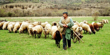 Απλούστευση πλαισίου άσκησης οικονομικών δραστηριοτήτων αρμοδιότητας Υπουργείου Αγροτικής Ανάπτυξης και Τροφίμων και άλλες διατάξεις