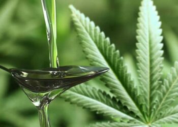 Πώς να χρησιμοποιήσετε το CBD στη μαγειρική