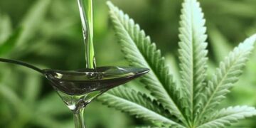 Πώς να χρησιμοποιήσετε το CBD στη μαγειρική