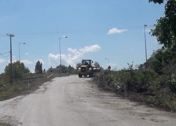 Εργασίες κοπής  κλαδιών στο δρόμο προς το δασάκι Κολοκυνθούς από την  Π.Ε. Καστοριάς