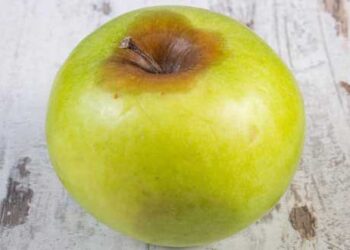 Τοξικοί άνθρωποι – Γράφει η Πίστη Κρυσταλλίδου