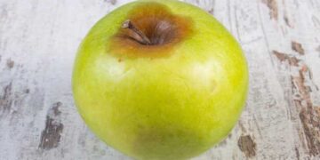 Τοξικοί άνθρωποι – Γράφει η Πίστη Κρυσταλλίδου