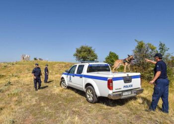 Apollo: Ο αστυνομικός σκύλος στη Δ. Μακεδονία, ακούραστος και πιστός στα καθήκοντά του