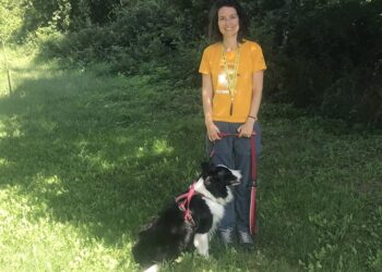 Νέα επίθεση με φόλες στο Κέντρο Αναπαραγωγής Ελληνικού Ποιμενικού του ΑΡΚΤΟΥΡΟΥ