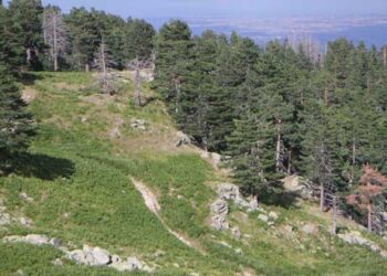 Ορειβατικός Σύλλογος  Πλατανορέματος: Εξόρμηση στα ΠΙΕΡΙΑ ΟΡΗ