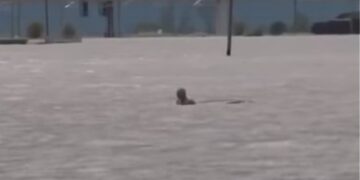 Κακοκαιρία «Ιανός»: Συγκλονιστική βίντεο με διάσωση ηλικιωμένου στα Φάρσαλα