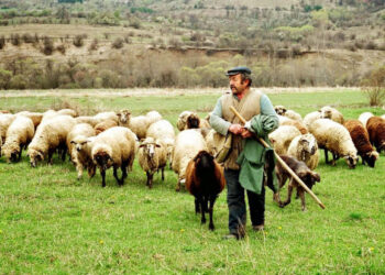 Ενημερωτική ημερίδα για την παρουσίαση του έργου Complete και τον καταρροϊκό πυρετό στην Π.Ε. Φλώρινας