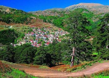 Εξόρμηση της Ορειβατικής Λέσχης Εορδαίας στη Βασιλίτσα