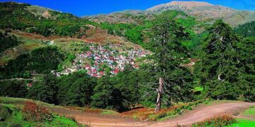 Εξόρμηση της Ορειβατικής Λέσχης Εορδαίας στη Βασιλίτσα