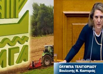 Ο. Τελιγιορίδου: Εμπαίζει τους πληγέντες κτηνοτρόφους ο κ.Βορίδης  -Διαψεύδει ο ΕΛΓΑ: «Δεν θα ζητείται η καταβολή εκτιμητικών τελών»