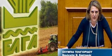 Ο. Τελιγιορίδου: Εμπαίζει τους πληγέντες κτηνοτρόφους ο κ.Βορίδης  -Διαψεύδει ο ΕΛΓΑ: «Δεν θα ζητείται η καταβολή εκτιμητικών τελών»