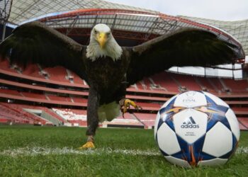 ΠΑΟΚ – Μπενφίκα. Ο αετός που τρώει τα σωθικά του «δικεφάλου»…