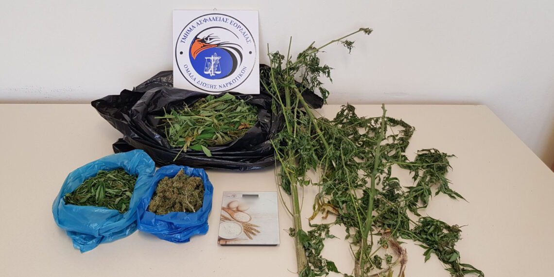 Συνελήφθη 55χρονος σε περιοχή της Κοζάνης για καλλιέργεια 2 δενδρυλλίων κάνναβης και κατοχή ακατέργαστης κάνναβης, 307- γραμμαρίων, φύλλων κάνναβης 400 γραμμαρίων και ηλεκτρονικής ζυγαριάς