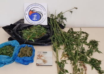 Συνελήφθη 55χρονος σε περιοχή της Κοζάνης για καλλιέργεια 2 δενδρυλλίων κάνναβης και κατοχή ακατέργαστης κάνναβης, 307- γραμμαρίων, φύλλων κάνναβης 400 γραμμαρίων και ηλεκτρονικής ζυγαριάς