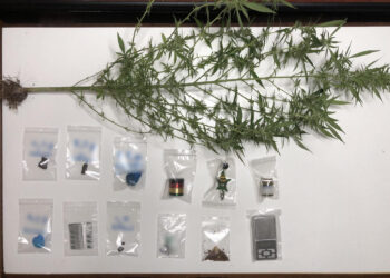 Συνελήφθησαν δύο άτομα στην Καστοριά για διακίνηση  ναρκωτικών ουσιών