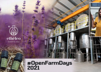 ETHELEO: Η επένδυση της Οικογένειας Λαζαρίδη δείχνει το δρόμο –  Πως μια κάθετη μονάδα στην Αναρράχη Εορδαίας δίνει υπεραξία στα Αρωματικά Φυτά και αξία στον τόπο – Η πρόσκληση της E. Λαζαρίδου στο #Openfarmdays 2021